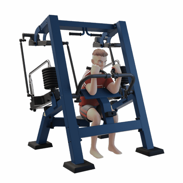 MB 7.39.3 Biceps Curl - Afbeelding 6