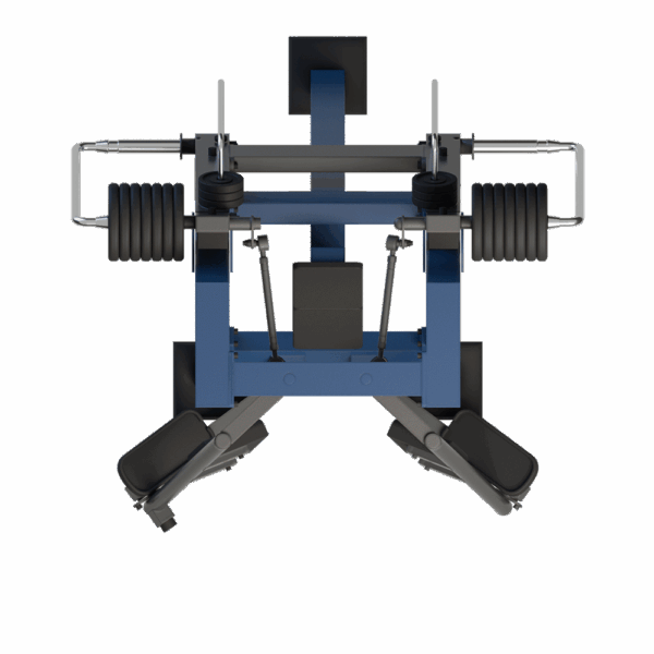 MB 7.50 Inner Thigh - Image 4