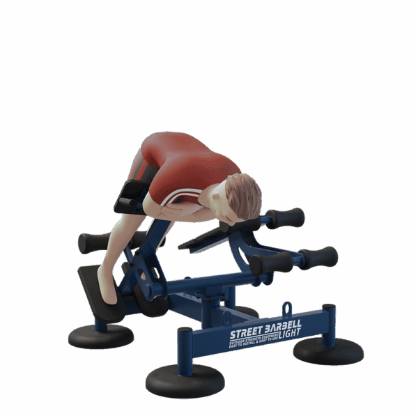 MB 7.62 AB Bench & Hyperextension - Image 8