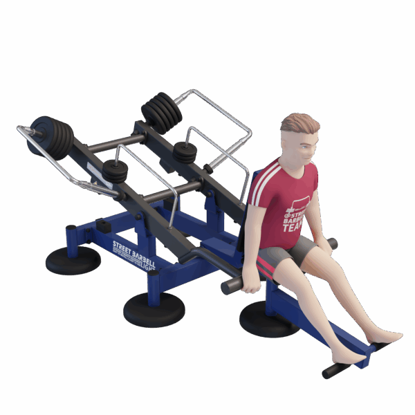 MB 7.67 Seated Dips - Afbeelding 5