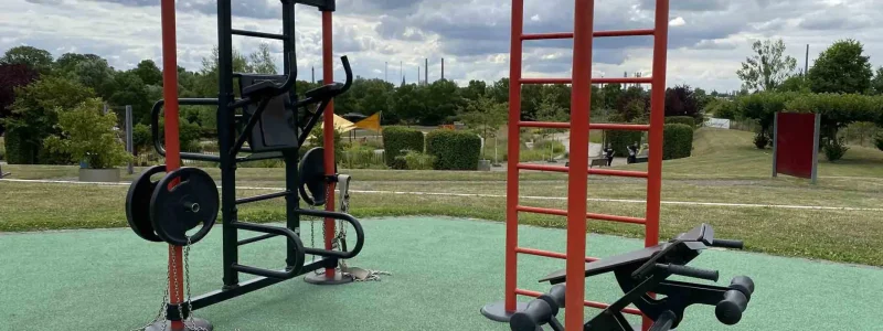 sb-workout-line.jpg